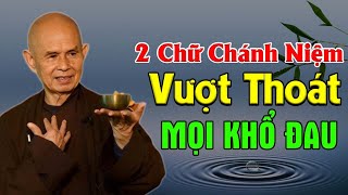 THẤU HIỂU ĐƯỢC CHÁNH NIỆM LÀM GÌ CŨNG THÀNH KHỔ ĐAU TAN BIẾN  TS Thích Nhất Hạnh [upl. by Deuno]