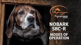 SportDOG Brand® NoBark SBCR  Modes of Operation [upl. by Eltsyrhc]