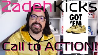 ZadehKicks Update CALL TO ACTION This is OUR Story Help me tell it [upl. by Nagiem]