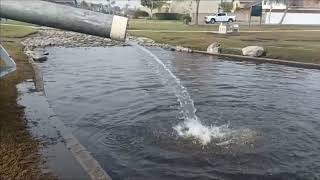 Catching trout at Greer Park  Trout Stocking [upl. by Imarej625]