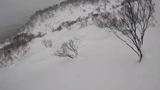 Cat skiing with Hokkaido Backcountry Club Shimamaki Japan [upl. by Beauvais]