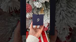 J9 Cheveux holidayswithyoutube xmas unboxing calendrierdelavent [upl. by Ermeena]