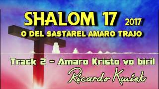 Ricardo Kwiek 2017  Track 2 Amaro Kristo vo biril [upl. by Tenej517]