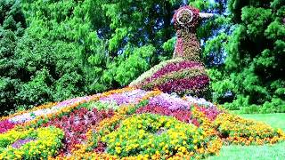 Doku Insel Mainau  Bodensee [upl. by Oberheim875]