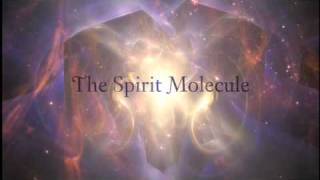 DMT The Spirit Molecule Teaser [upl. by Herm]