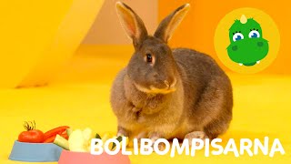 Bolibompa Mini Bolibompisarna – Avsnitt 9 [upl. by Mira143]