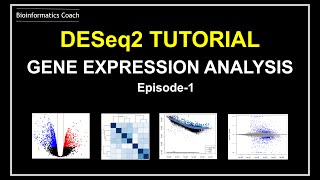 How I analyze RNA Seq Gene Expression data using DESeq2 [upl. by Porte]