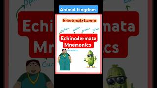 Mnemonics Echinodermata biology neet2025 neet25 neetexam neetpreparation [upl. by Silvano]