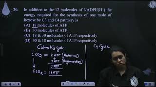 In addition to the 12 molecules of NADPHH the energy required for the synthesis of one mole o [upl. by Philipines77]