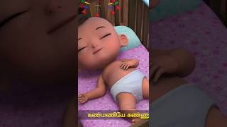 Aararo Aariraro🤱🏻chutty kannamma Lullaby baby reelschuttykannammacartoonchildrenssongkidsvideo [upl. by Audun654]