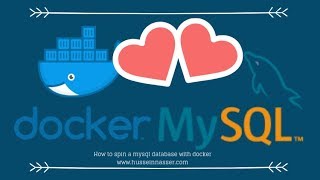 Spinning MySQL Database with Docker [upl. by Dnob402]