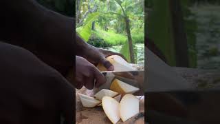 Smart Technique to Peel Unique Young King Coconut [upl. by Eruza382]