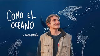 COMO EL OCÉANO x NICO MARIN  VIDEO OFICIAL [upl. by Einnhoj]