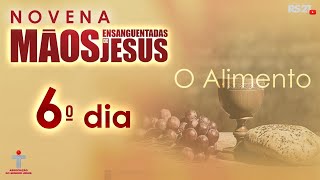 NOVENA MÃOS ENSAGUENTADAS DE JESUS 6 DIA PART 1 [upl. by Dion]