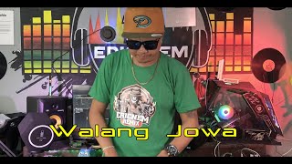 Forever Single  Walang Jowa  Budots Remix  Dj Ericnem [upl. by Epolenep]