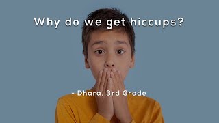 Why do we get hiccups [upl. by Chrisoula]