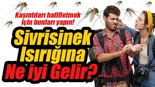 Sivrisinek Isırığına Ne iyi Gelir Nasıl Geçer Sivrisinek ısırığı doğal yöntemler [upl. by Sandeep]