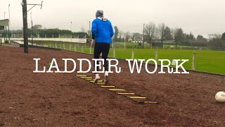 GAA Goalkeeping 17 Ladder Work [upl. by Adai]