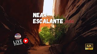 🔴 ESCALANTE Utah 4K Ultra HD Scenic Relaxation Film with Music 432HZ by Isyssiprod ‪isyssiprod‬ [upl. by Lavoie]