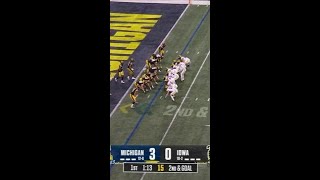 Blake Corum TD vs Iowa  Michigan Football [upl. by Eiznyl501]