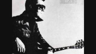 Link Wray  Fever [upl. by Silvanus]