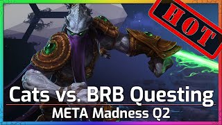 Cats vs BRB Questing  Meta Madness Q2  Heroes of the Storm [upl. by Teufert18]