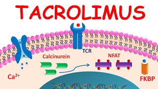 Tacrolimus ointment for atopic dermatitis [upl. by Waiter625]