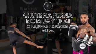 Chute na perna no Muay Thai [upl. by Sigismondo]