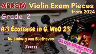 Tutti ABRSM Violin Exam Pieces from 2024  Grade 2 A3 ♩ 44 [upl. by Gnidleif545]