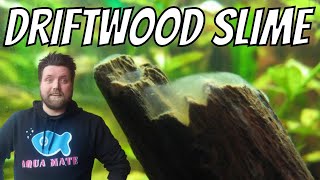 Driftwood Slime What you need to Know [upl. by Arted404]