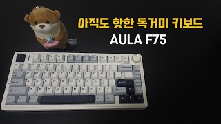 AULA F75  끝나지 않은 인기 독거미 키보드 아이스베인축빙맥축Ice Vein switch 키보드 타건 기계식키보드 keyboard ASMR typing [upl. by Bazluke]