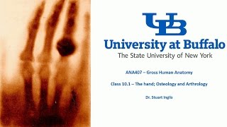 ANA407  Class 101  The Hand Osteology and Arthrology [upl. by Jola]