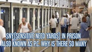 SNYSENSITIVE NEEDS YARD IN PRISON ALSO KNOWN AS PROTECTIVE CUSTODY WHY IS THERE SO MANY [upl. by Welsh454]