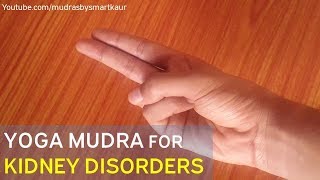 Mudras for HealthYoga Mudra for Kidney Disorders  Kidney Mudra  All Yoga Mudras in English [upl. by Nyrhtak996]