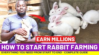 How To Start RABBIT FARMING And Earn Millions In 4 Months  Complete Guide [upl. by Nollahs339]