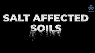 Saltaffected soils discovering a missed reality [upl. by Nwahsyd]