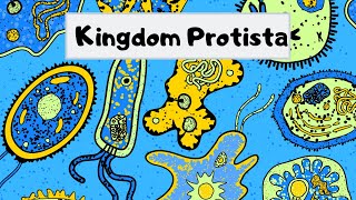 Kingdom of Protista [upl. by Caryl]