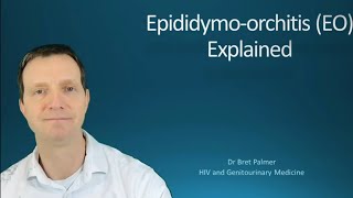 Epididymoorchitis EO explained 49 [upl. by Aonian601]