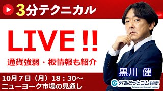 見通しズバリ！3分テクニカル分析「ライブ‼」 ニューヨーク市場の見通し 2024年10月7日 [upl. by Lehte885]