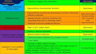 Hypercapnia Respiratory Physiology Chapter 43 part 8 Guyton and Hall Physiology [upl. by Brott]