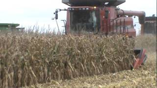 Geringhoff Folding Rota Disc at the Husker Harvest Days field demo [upl. by Anelrad]