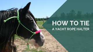 How to tie a rope halter full DIY tutorial [upl. by Zeena338]