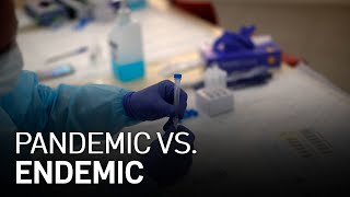 Endemic Vs Pandemic Whats the Difference [upl. by Sulohcin]