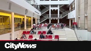 UCalgary students frustrated by unreliable campus WiFi [upl. by Nehtiek]