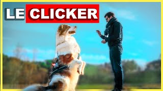 Eduquer son chien trois fois plus rapidement  LE CLICKER [upl. by Ide]