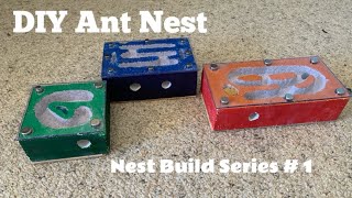 How to Build an Ant Nest Ytong DIY Tutorial [upl. by Nawtna]