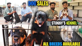 STUNNYS KENNEL  DOG FOR SALES  ALL BREEDS AVAILABLE  PUPPYS SALES  SE VLOGS [upl. by Maram]