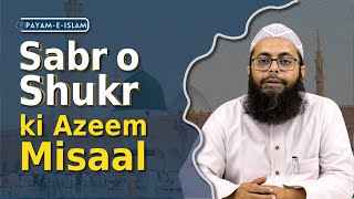 Huzur ﷺ ke Sabr o Shukr ki Azeem Misaal By Dr Salman Alimi miladunnabi payameislam [upl. by O'Doneven341]