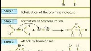 Halogenation of Alkeneits Mechanism and Stereochemistry [upl. by Emiline737]