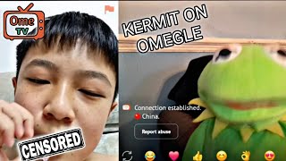 Kermit Goes On Omegle [upl. by Aridan973]